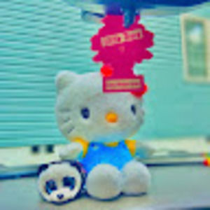 Meet your Posher, Haley